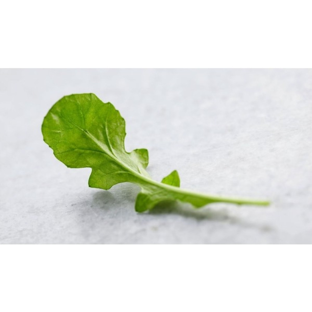 Roka Tohumu(Geniş Yaprak),Marul Tohumu(Iceberg),tere Tohumu(Geniş Yaprak) 3 Lü Set Tohumu 1 kg Oto Boyaları Fiyatı