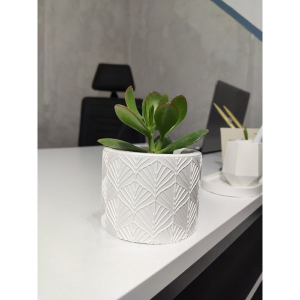 Rollor Desenli Beton Saksı, (Kaktüs,sukulent Vb.) - Beyaz Saksı ve Aksesuarları Fiyatı