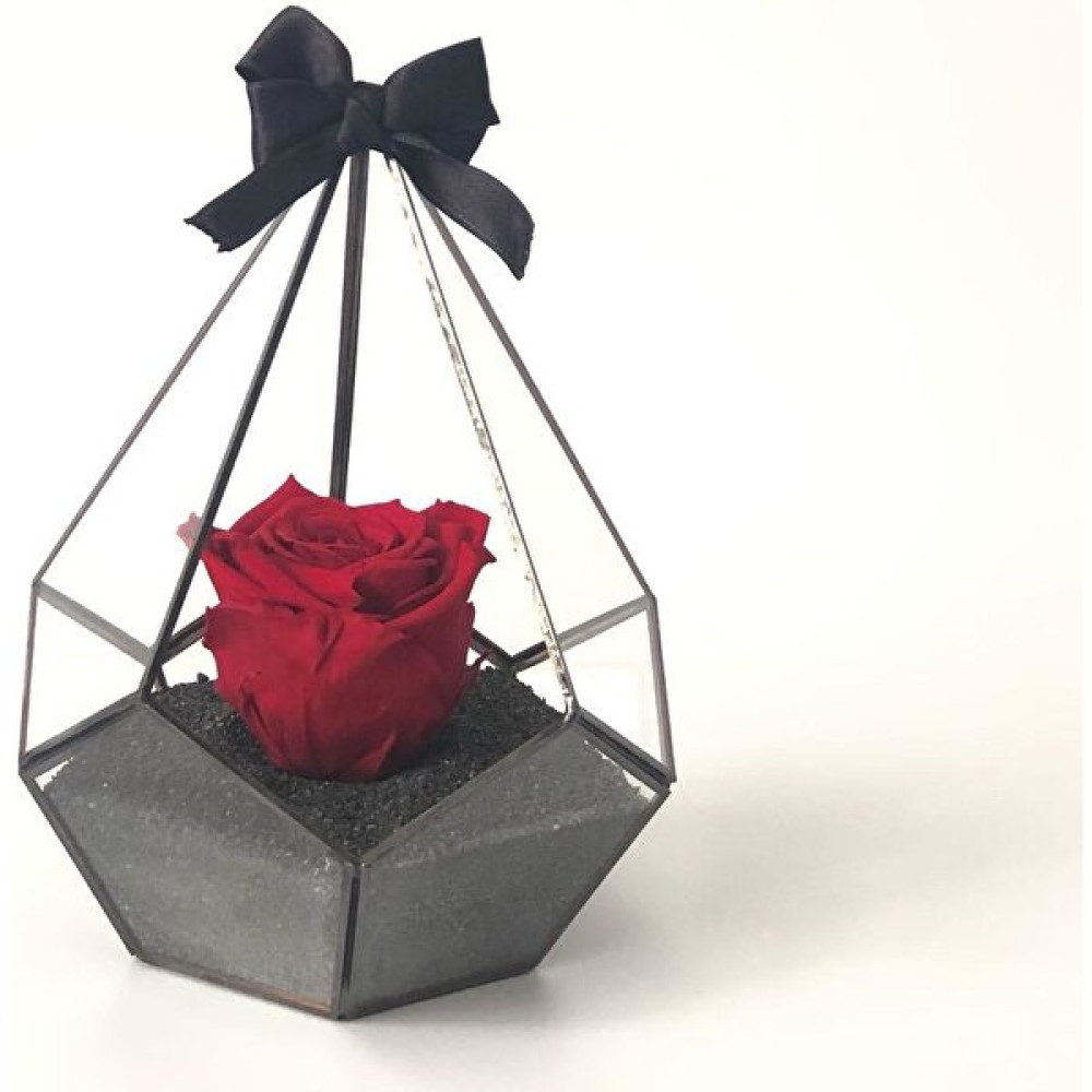 Rose Armor Xl Kırmızı Solmayan Gül Bitki Fiyatı