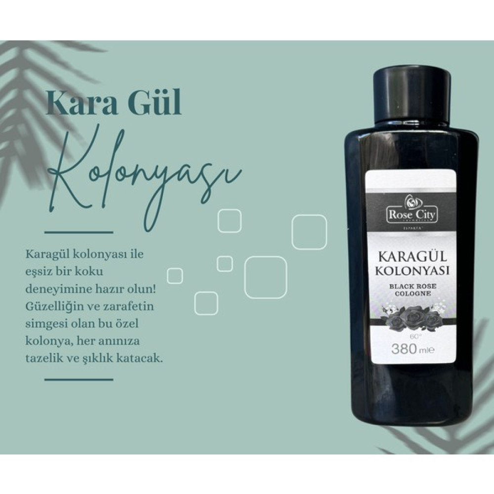 Rose City Doğal Isparta Karagül Kolonyası 380 ml Oto Boyaları Fiyatı