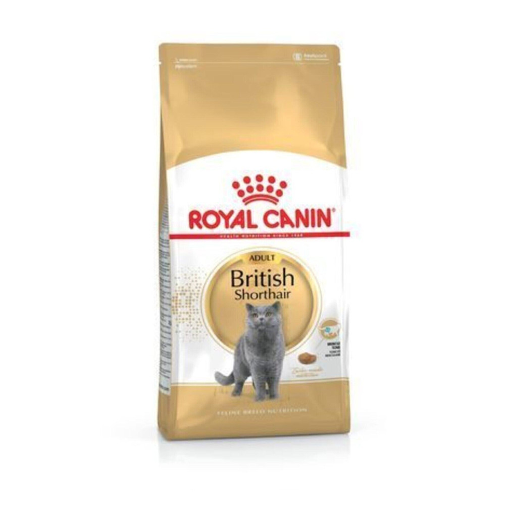 Royal Canin British Shorthair Adult Kedi Kuru Maması 2 Kg Evcil Hayvan Ürünleri Fiyatı