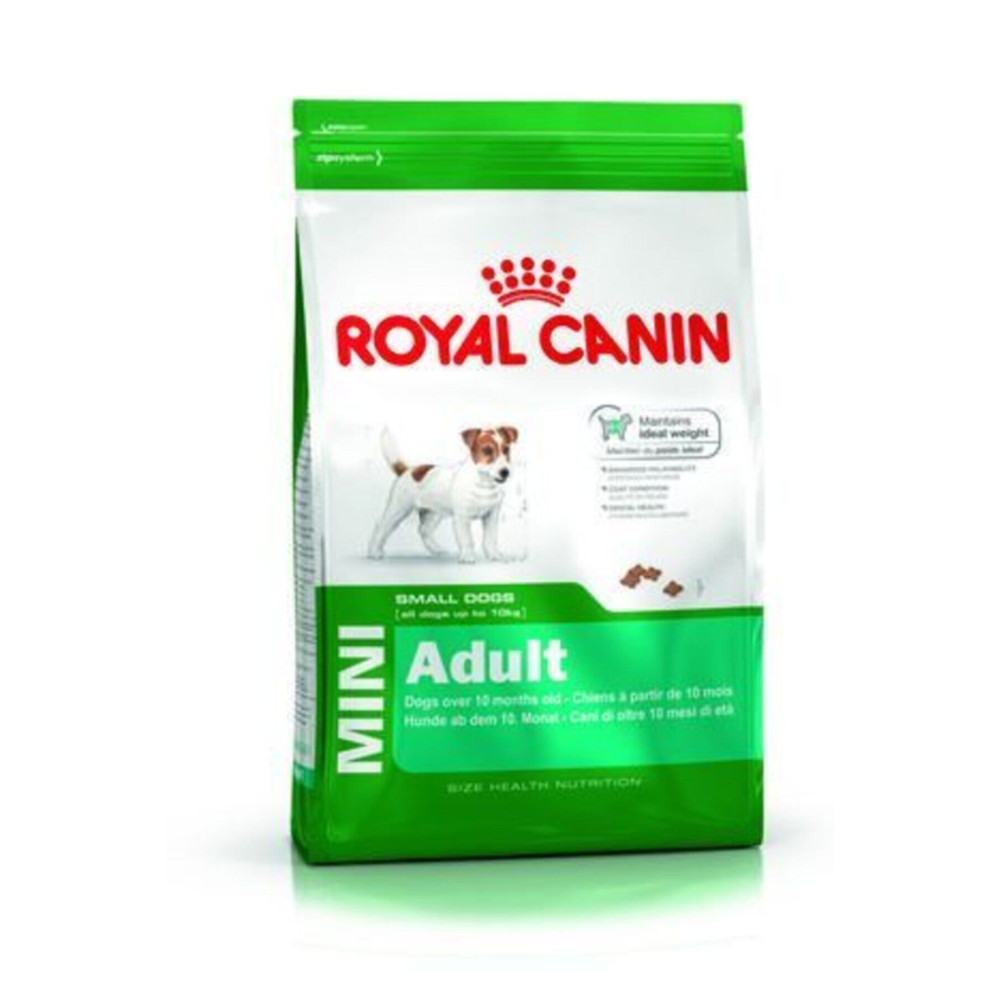 Royal Canin Dog Shn Mini Adult Köpek Maması 4 Kg Evcil Hayvan Ürünleri Fiyatı