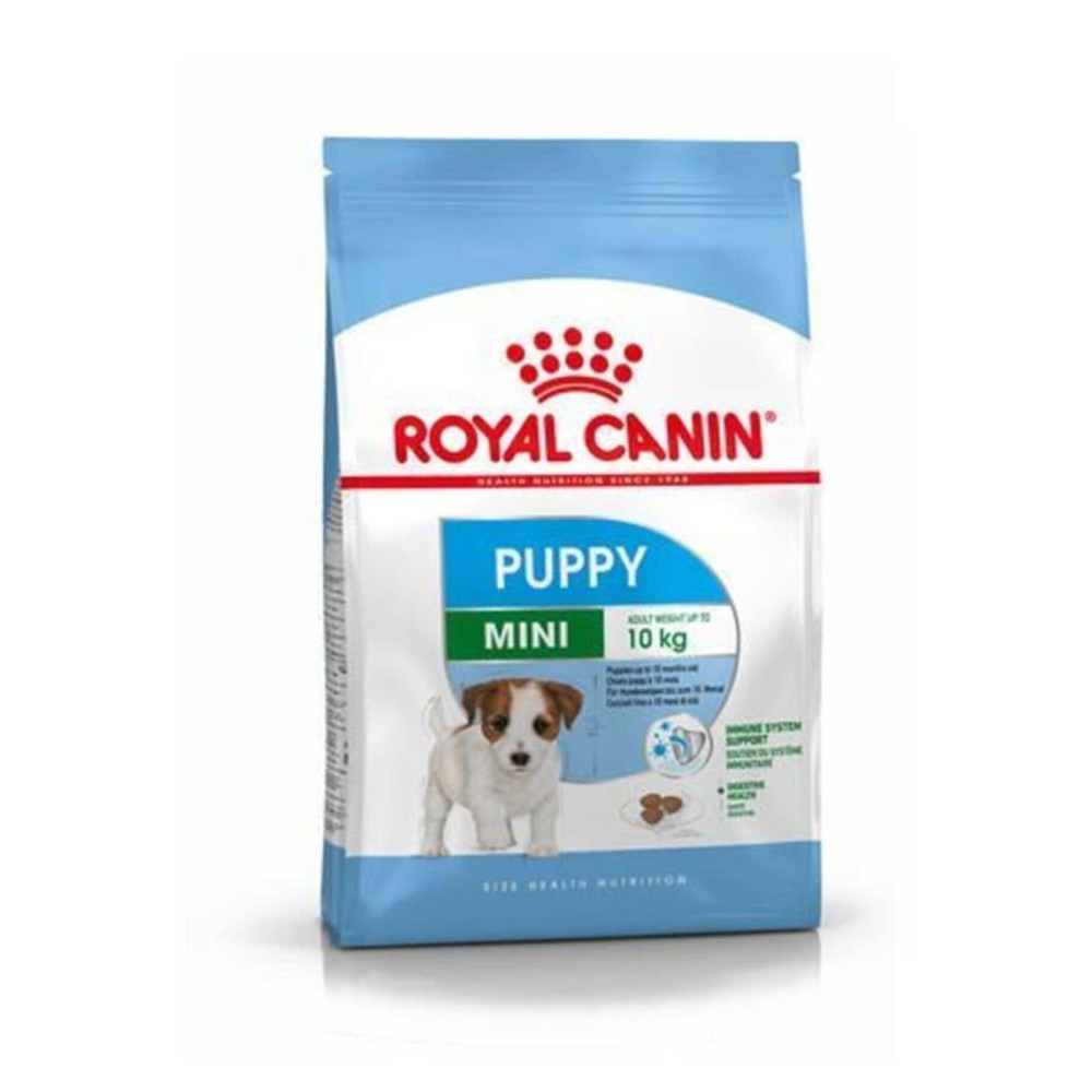 Royal Canin Dog Shn Mini Puppy Köpek Maması 2 Kg Evcil Hayvan Ürünleri Fiyatı