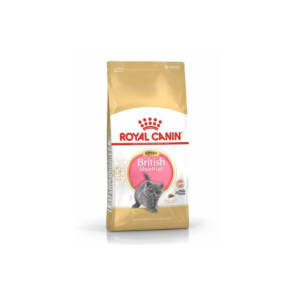 Royal Canin Kitten British Shorthair Yavru Irk Kedi Maması 2 Kg Evcil Hayvan Ürünleri Fiyatı