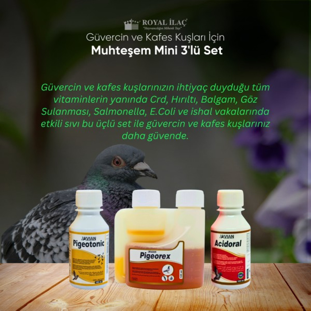 Royal Ilaç Güvercin Ve Kafes Kuşları Için Mini Muhteşem Üçlü Set (Pigeotonic+Pigeorex+Acidoral) Evcil Hayvan Ürünleri Fiyatı