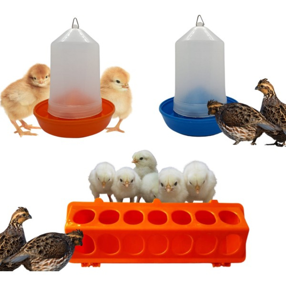 Royalfarmvet (Tavuk Bıldırcın Civciv Suluk 30X10cm) ve (0,75 Tavuk Bıldırcın Civciv Yemlik 2 Adet) - Turuncu - 3 Adet Evcil Hayvan Ürünleri Fiyatı