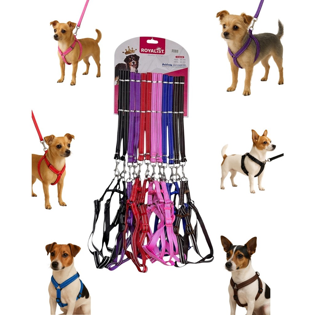 Royalist Ayarlanabilir Reflektörlü Köpek Göğüs Tasması – 120CM x 15MM - Mor Evcil Hayvan Ürünleri Fiyatı