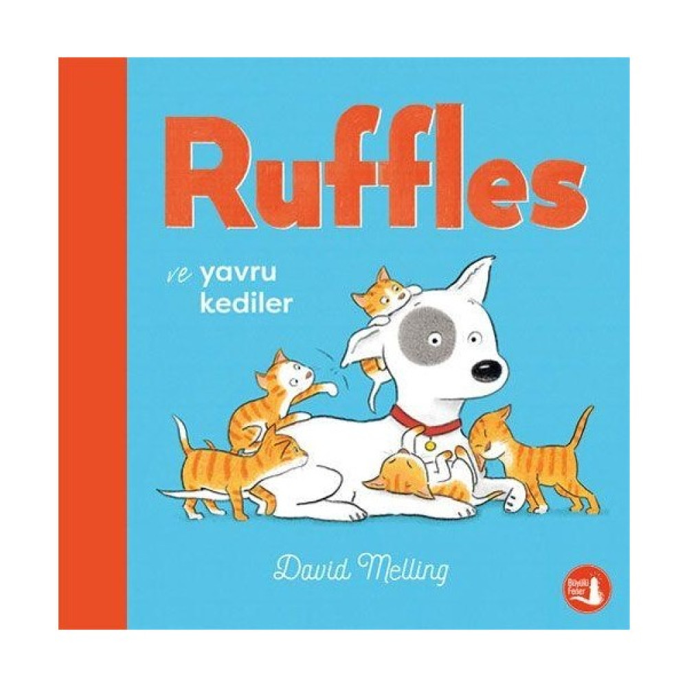 Ruffles ve Yavru Kediler - David Melling Çocuk Öykü Fiyatı