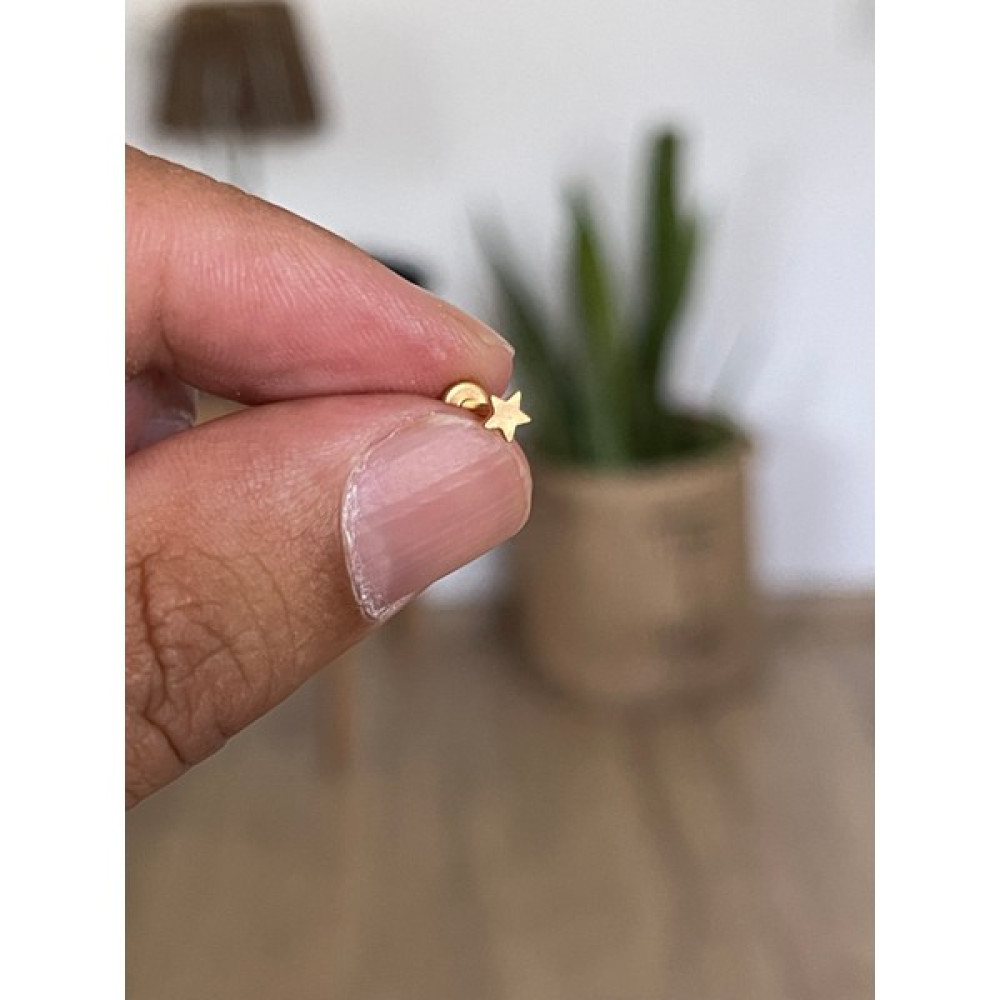 Rupen Kraft 316 L Cerrahi Çelik Tragus Helix Kıkırdak Conch Minik Yıldız Piercing - 6 - Gold Altın & Gümüş Piercing Fiyatı