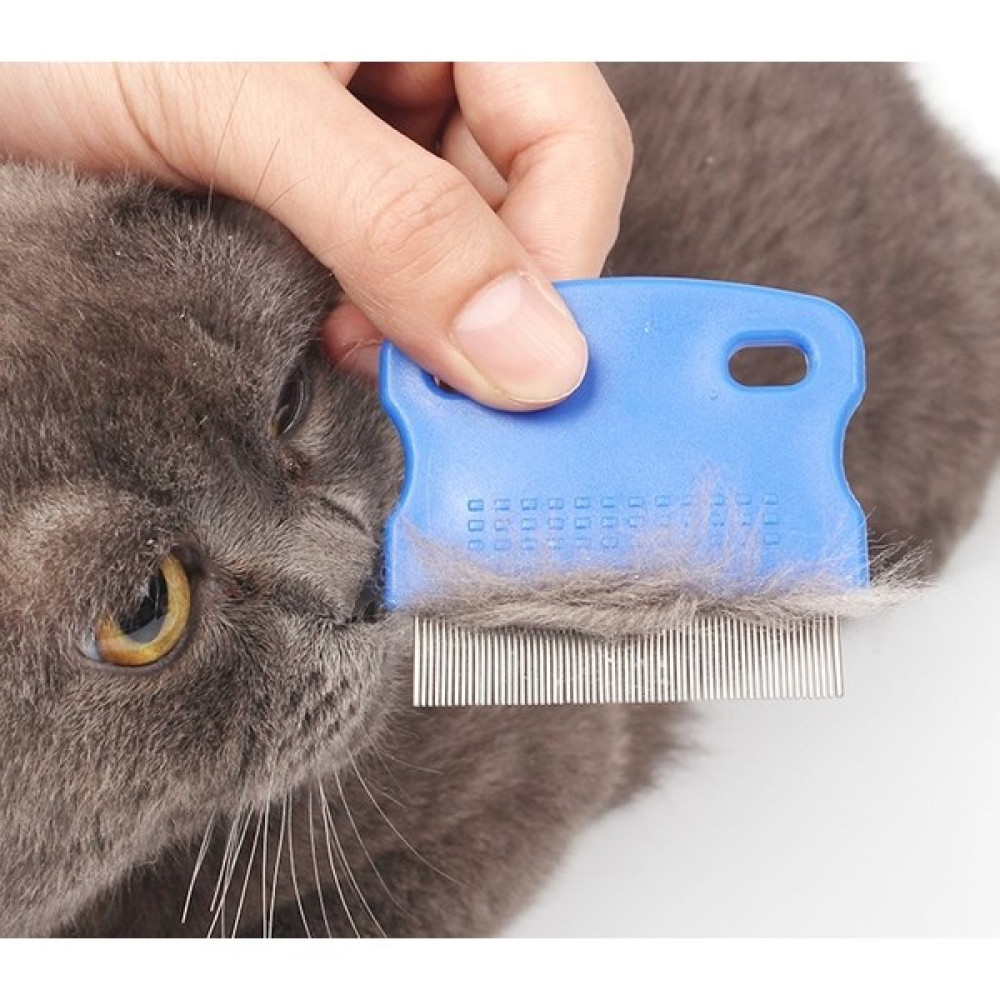 Rüzgar Kedi Köpek Bit ve Pire Tarağı Oto Boyaları Fiyatı