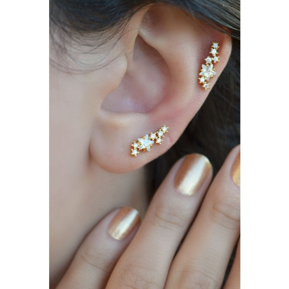Sacce Scarves&Accessories Yıldızlı Piercing Tragus Helix Kıkırdak Gold Renk Altın & Gümüş Piercing Fiyatı