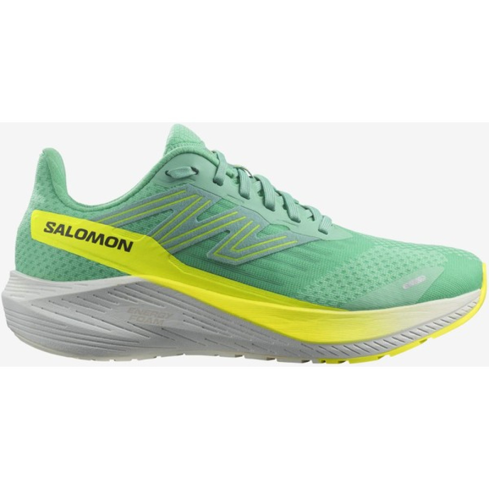Salomon Aero Blaze Kadın Koşu Ayakkabısı Trekking Ayakkabısı & Botu Fiyatı