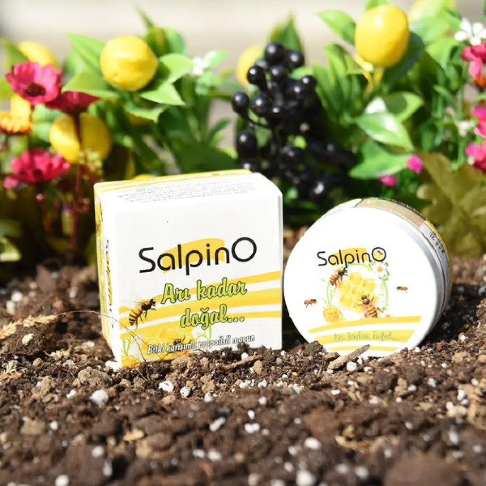 Salpin Salpino Propolisli Diş Macunu 60 ml Diş Macunları Fiyatı