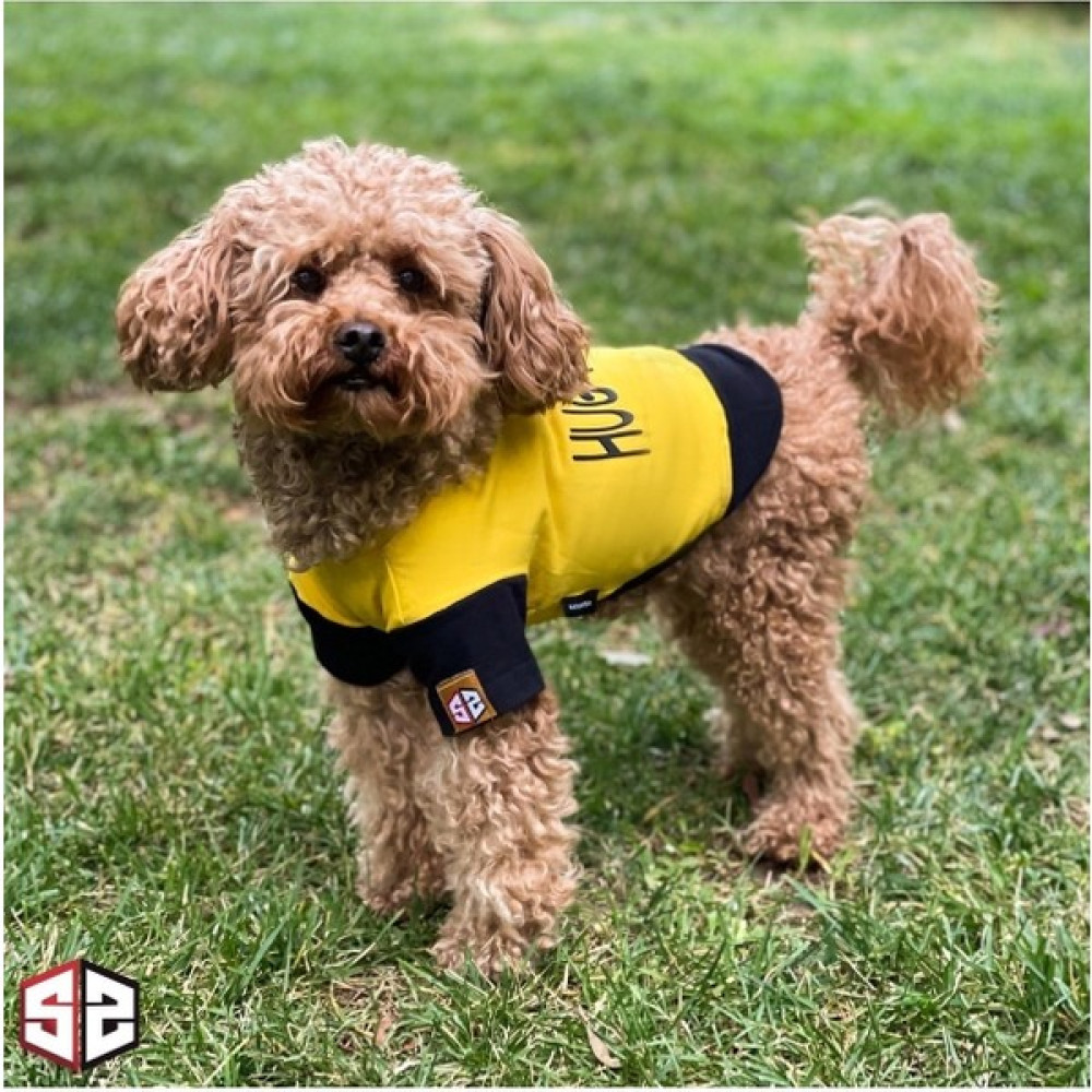 Salya Store 3D Rubber Baskı - Hug Please Yazlık T-Shirt- Pamuk Köpek Kıyafeti, Köpek Yazlık KK-107 - Sarı - L Evcil Hayvan Ürünleri Fiyatı