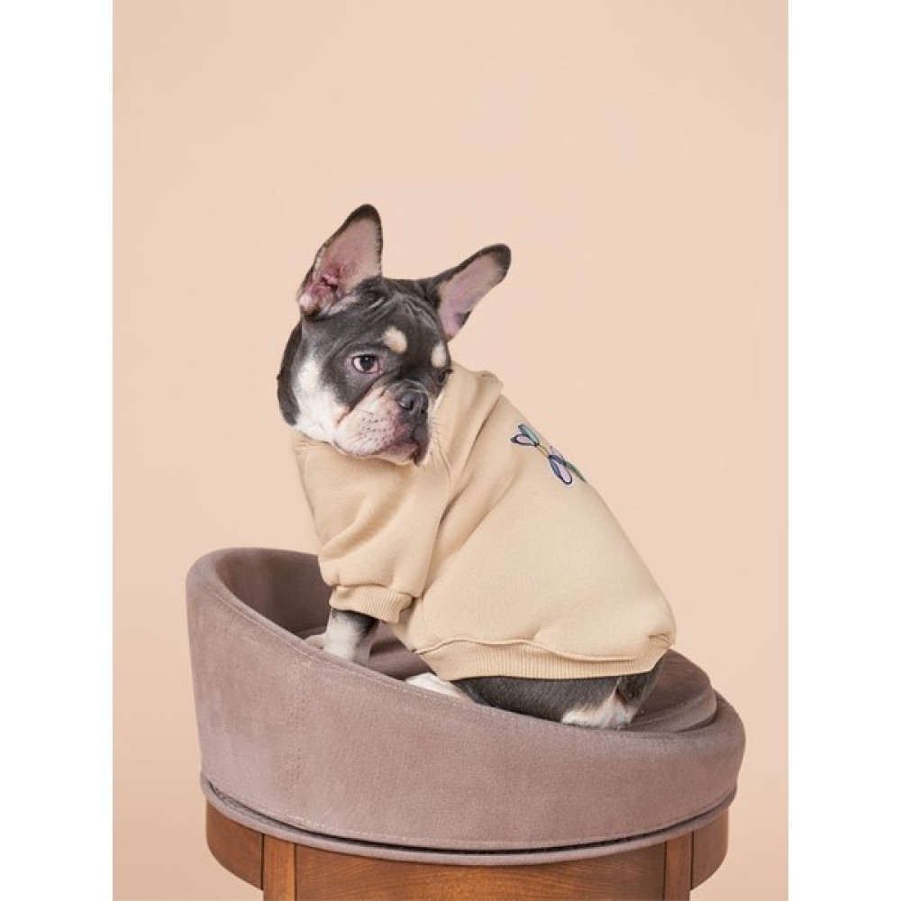 Salya Store Balloon Köpek Sweatshirt Küçük ve Orta Irk Köpekler Için 0-15KG (Pou Series) - Bej - L Evcil Hayvan Ürünleri Fiyatı