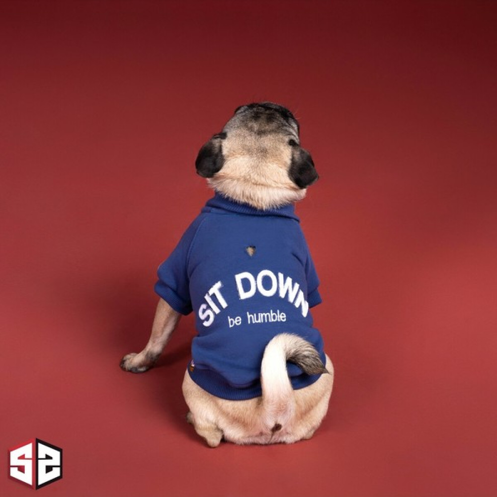 Salya Store Be Humble College Ceket Köpek Kıyafeti Köpek Ceketi KK-126- - Mavi - XL Evcil Hayvan Ürünleri Fiyatı