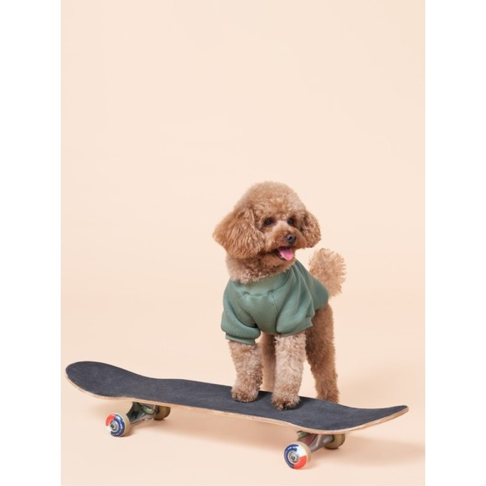 Salya Store Duckdash Köpek Sweatshirt Küçük ve Orta Irk Köpekler Için 0-15kg (Pou Series) - Yeşil - M Evcil Hayvan Ürünleri Fiyatı