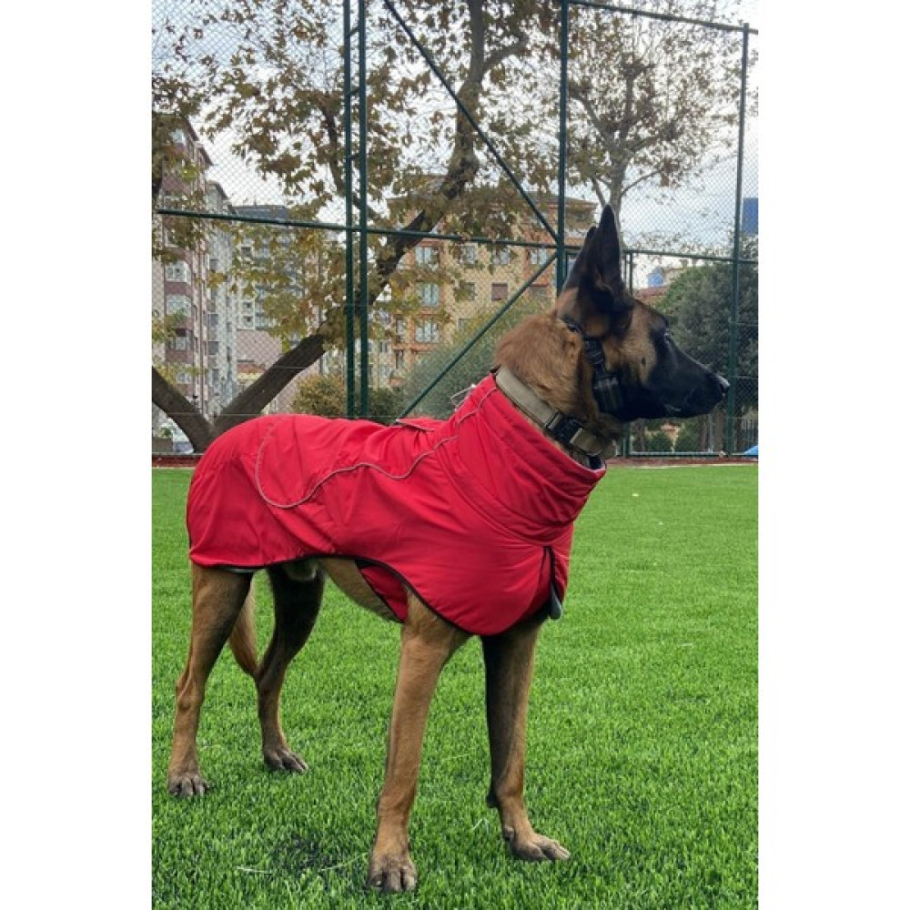 Salya Store Köpek Montu, Köpek Yağmurluğu, Büyük ve Orta Irk Su Geçirmez Köpek Montu - Kırmızı - 3XL Evcil Hayvan Ürünleri Fiyatı