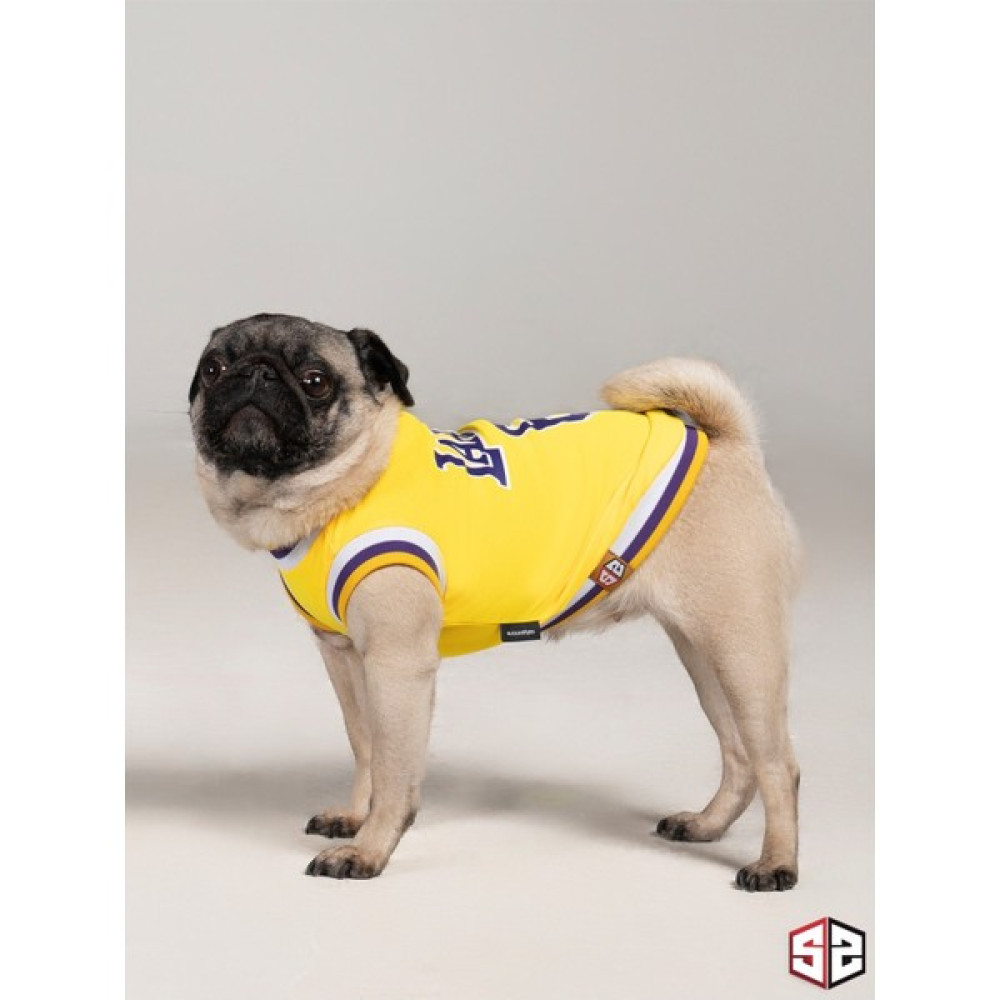 Salya Store Lakers Yazlık Köpek Forma Kedi,köpek Kıyafeti Küçük Irklar KK-111 - Sarı - 2XL Evcil Hayvan Ürünleri Fiyatı