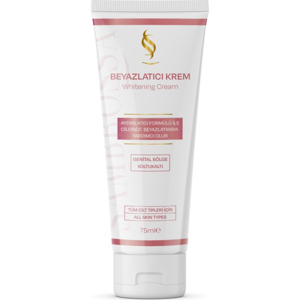 Sambrossa Krem 75ML Oto Boyaları Fiyatı