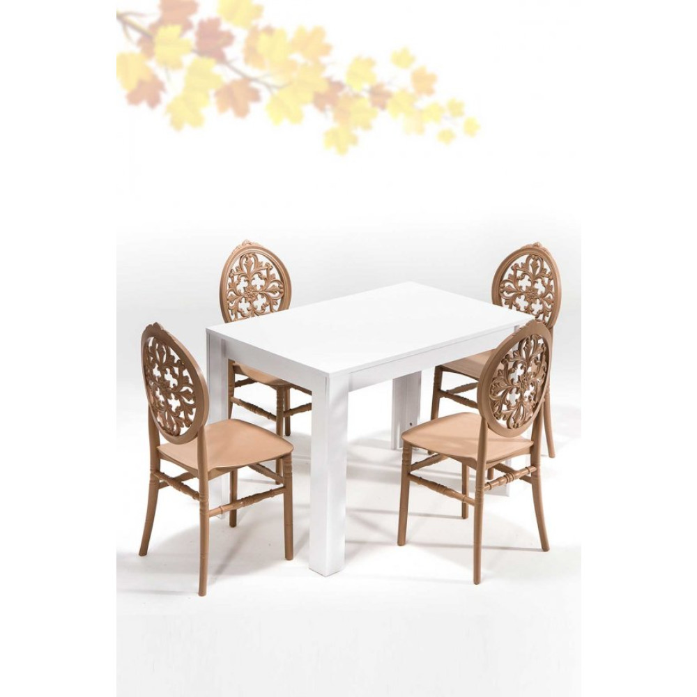 Sandalıe Arda / Venus Mutfak Masa Takimi 1 Masa 4 Sandalye - Cappucino Mutfak Dolabı / Mobilyası Fiyatı