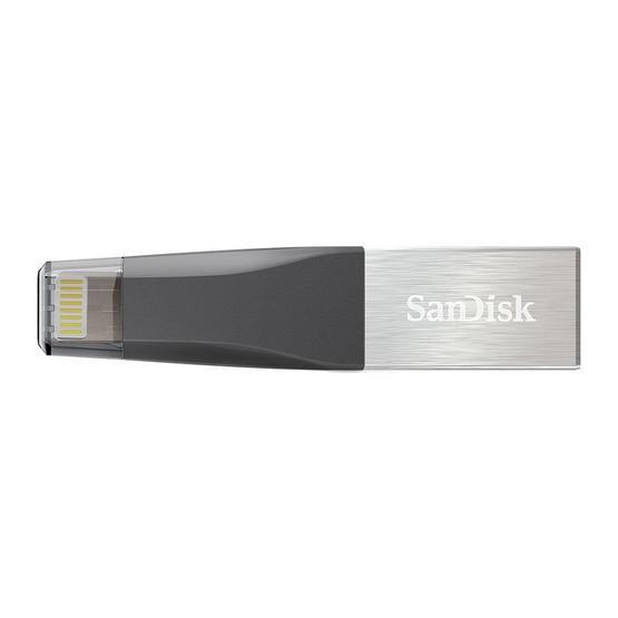 Sandisk SDIX40N-128G-GN6NE 128GB Flash Bellek