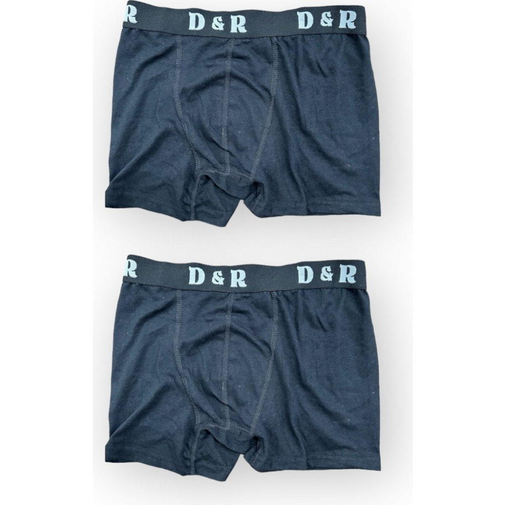 Sardem Ekonomik Erkek Boxer 2'li %95 Pamuk %5 Likra Erkek Boxer Fiyatı