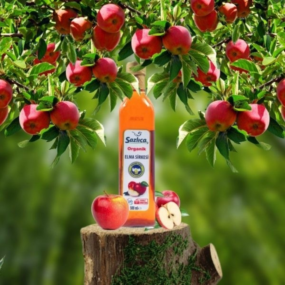 Sazlıca Organik Elma Sirkesi 12'li - 500 ml Oto Boyaları Fiyatı