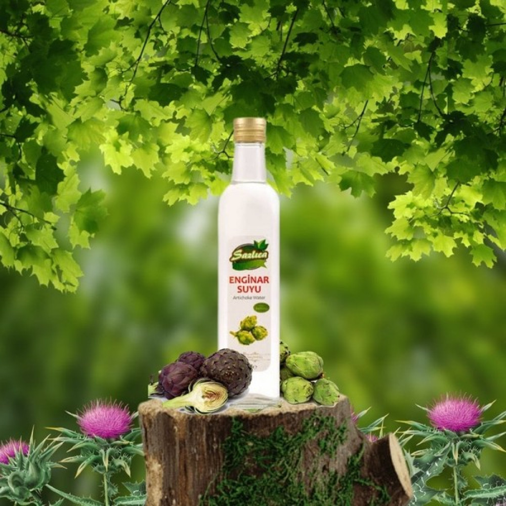 Sazlıca Organik Enginar Suyu 500 ml Oto Boyaları Fiyatı