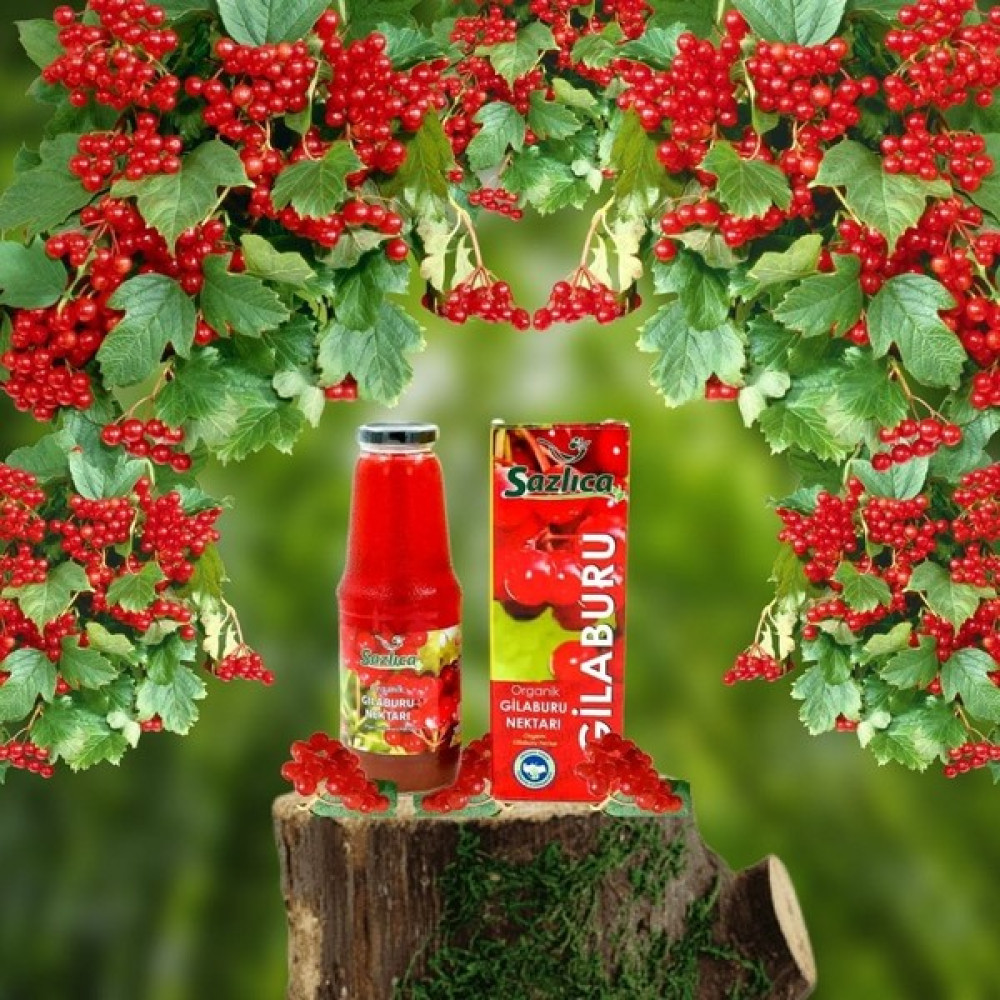 Sazlıca Organik Gilaburu Nektarı 1000 ml Cam Şişe Özel Kutulu - 1 lt Diğer Fiyatı