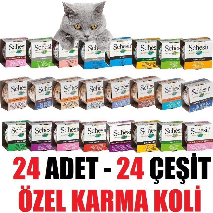 Schesir Kedi Konservesi 24 Adet Karışık Tatlar 2,4 kg Besleyici Mama Segmenti Evcil Hayvan Ürünleri Fiyatı