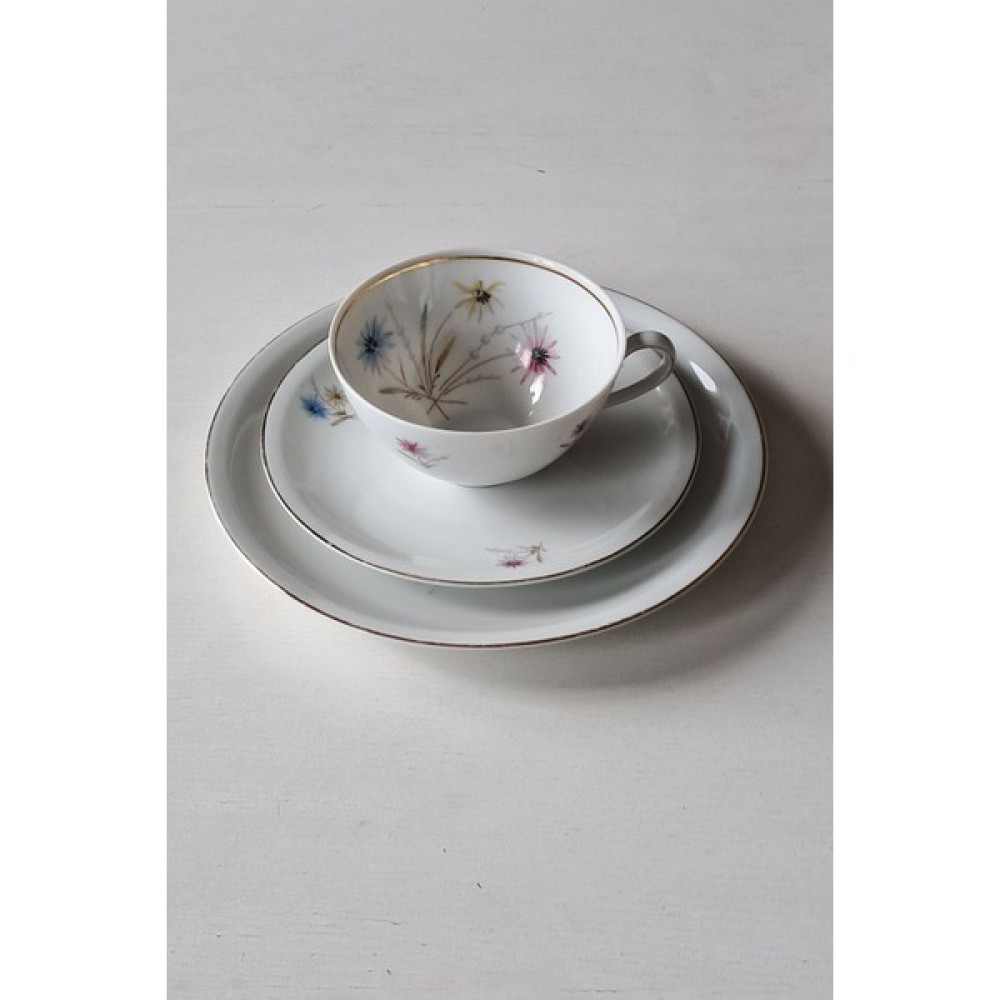 Schirnding Vintage Çay Fincanı Seti 3 Parça - 200 ml Oto Boyaları Fiyatı