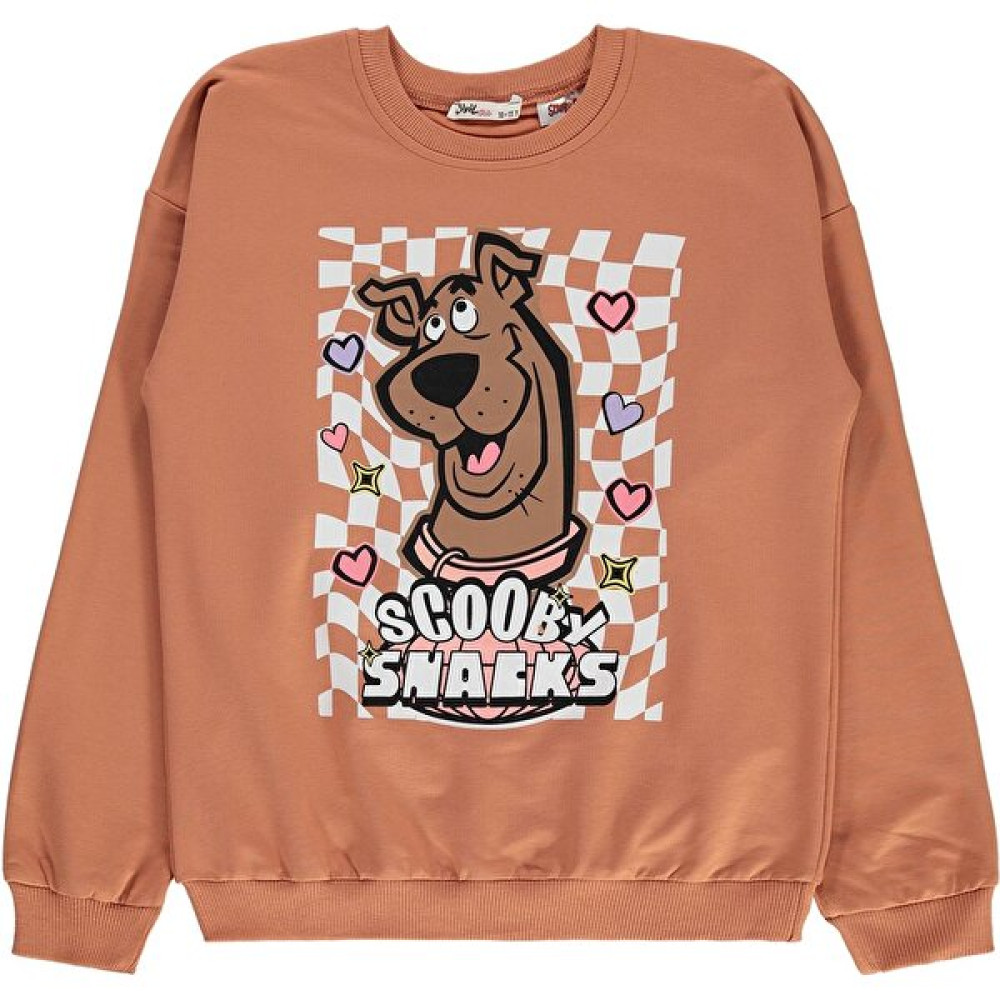 SCOOBY-DOO Scooby Doo Erkek Çocuk Sweatshirt 10-13 Yaş Kiremit Erkek Çocuk Sweatshirt Fiyatı