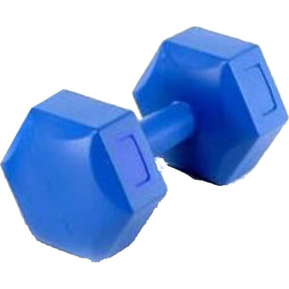 Scucs 4 kg Pilastik Dambıl 1 Adet Dambıllar & El / Ayak Ağırlıkları Fiyatı