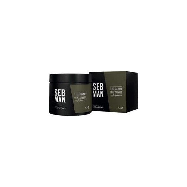 Sebastian Seb Man The Dandy Pomade Yogun Tazelik Veren Şekillendirici 75ML Diğer Fiyatı
