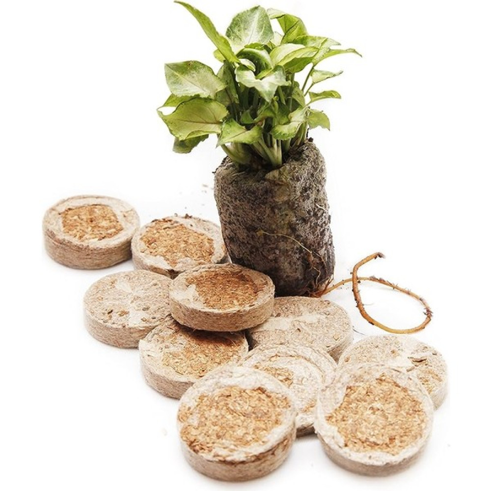 Sef Tarım Disk Cocopeat (Kokopit) Disk- 5'li Paket Bitki Fiyatı