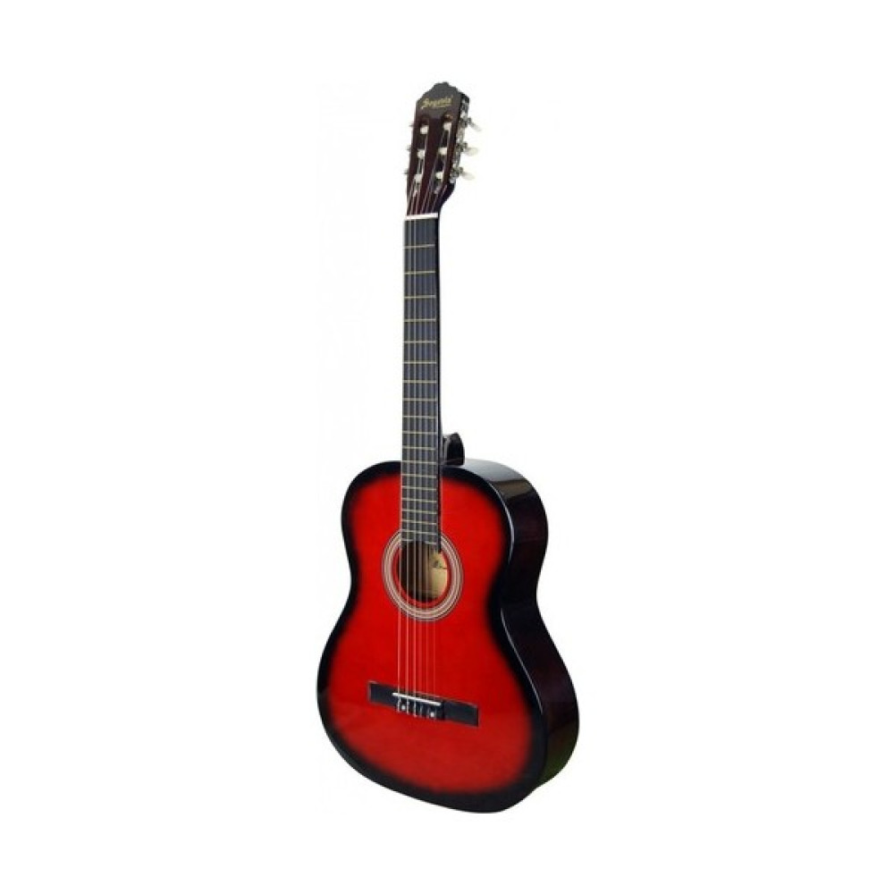 Segoiva 4/4 Klasik Gitar Rds Oto Boyaları Fiyatı