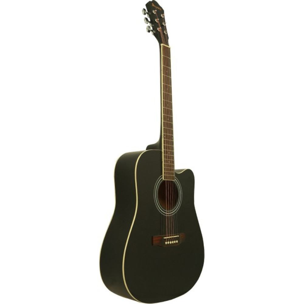 Segovia SGA41BK Cutaway Akustik Gitar Oto Boyaları Fiyatı