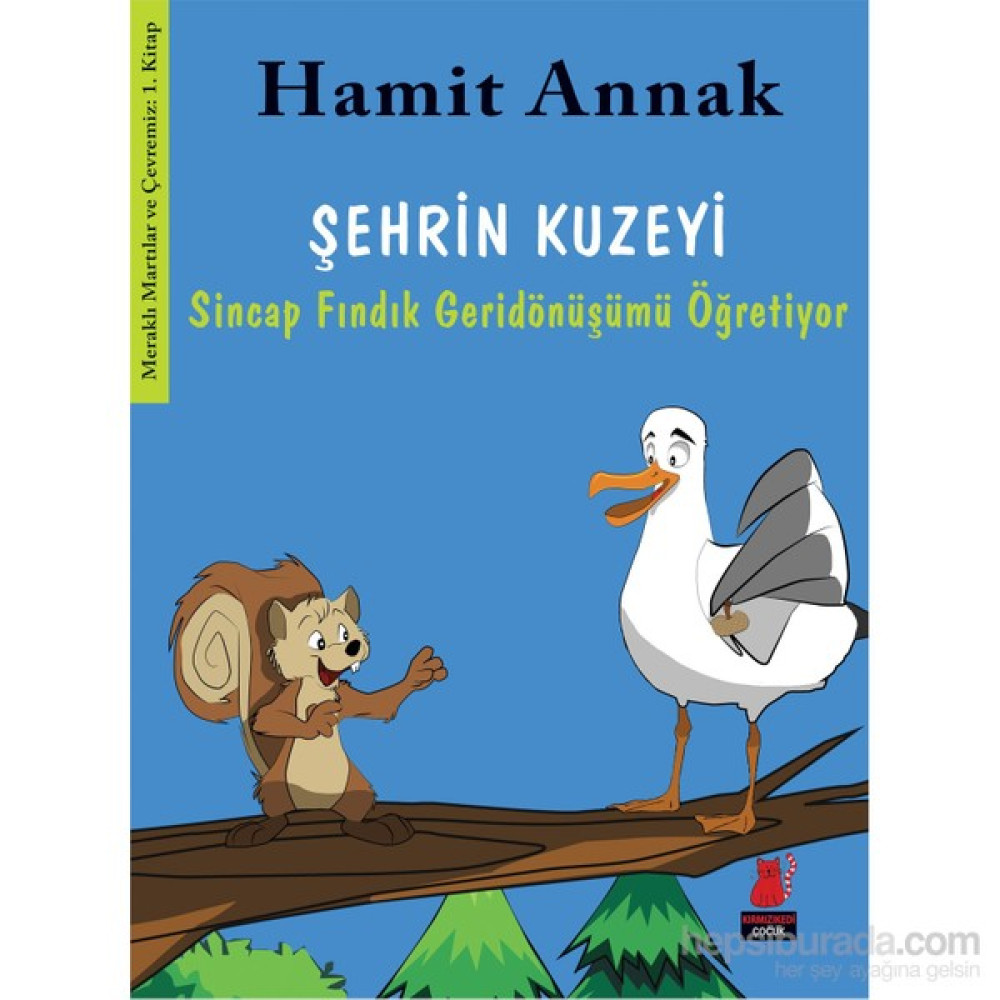 Şehrin Kuzeyi - Sincap Fındık Geridönüşümü Anlatıyor-Hamit Annak Çocuk Masal Fiyatı