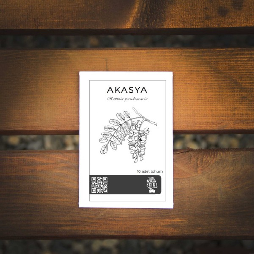 Seika Ağaç Tohumu - Akasya - 10 Adet Bitki Fiyatı
