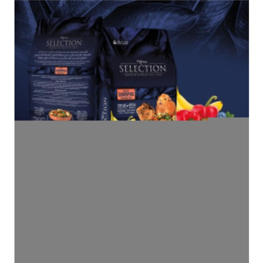 Selection Ginepig Yemi 750 gr Oto Boyaları Fiyatı