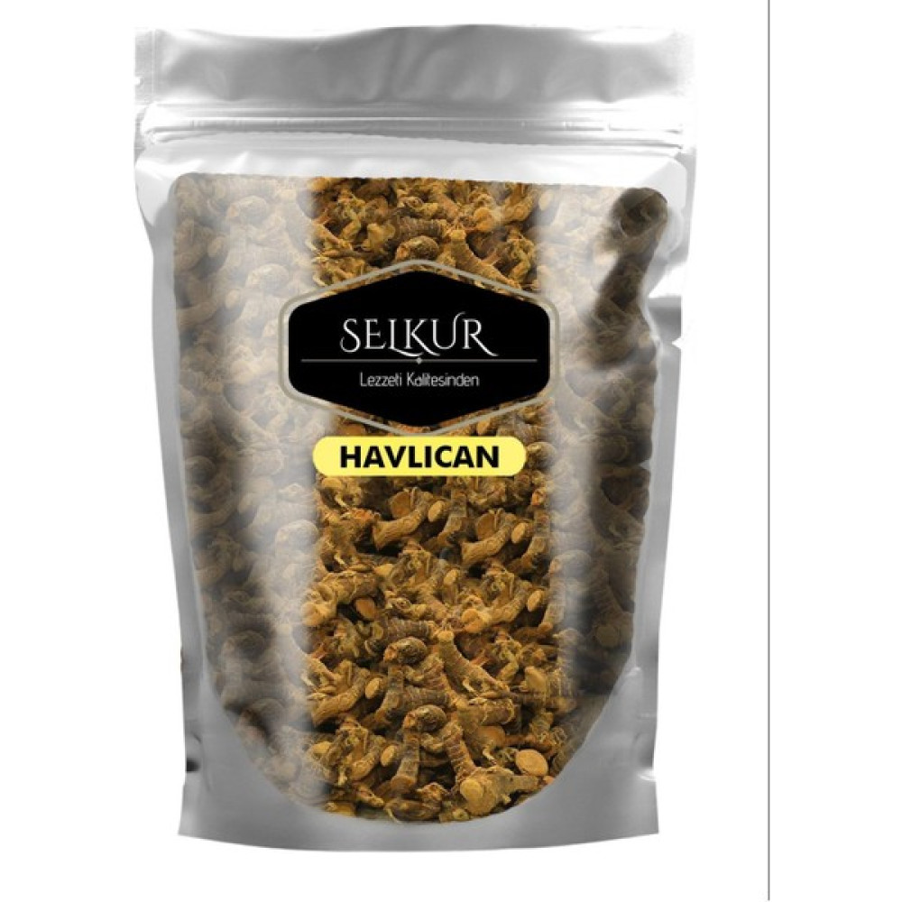 Selkur Havlıcan 100 gr (Kök) Oto Boyaları Fiyatı