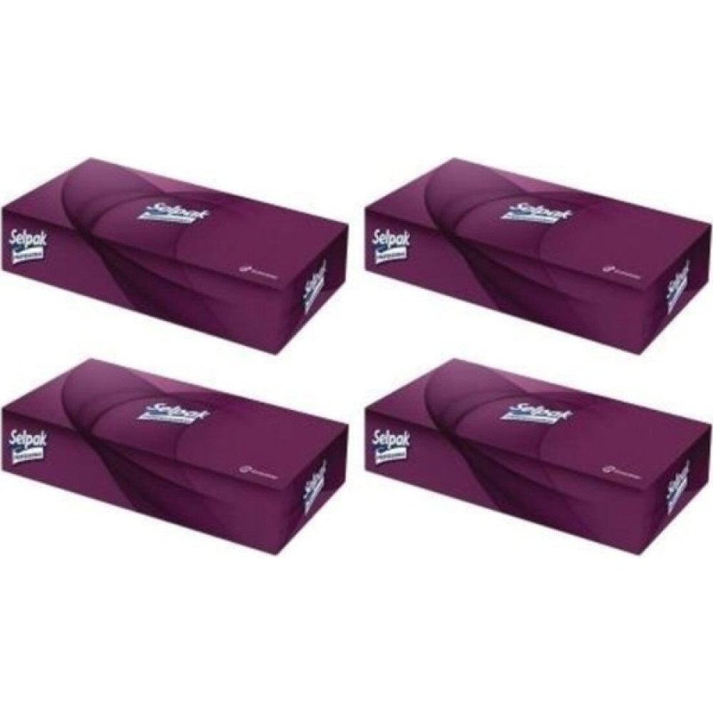 Selpak Extra Kutu Mendil 80 Yaprak 4 Paket Toplam 320 Yaprak Peçete Fiyatı