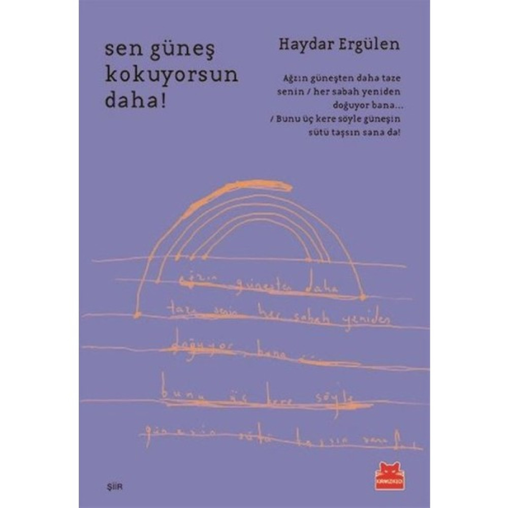 Sen Güneş Kokuyorsun Daha! Şiir Kitapları Fiyatı