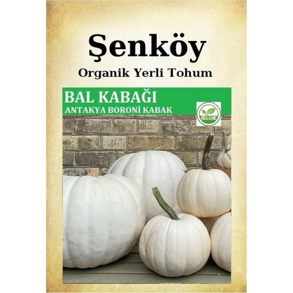 Şenköy Bal Kabağı Tohumu Antakya Boroni Bal Kabağı Tatlı Kabağı Tohumu Pakette 10 gr 50 Tohum - 1 Adet Tohum Fiyatı