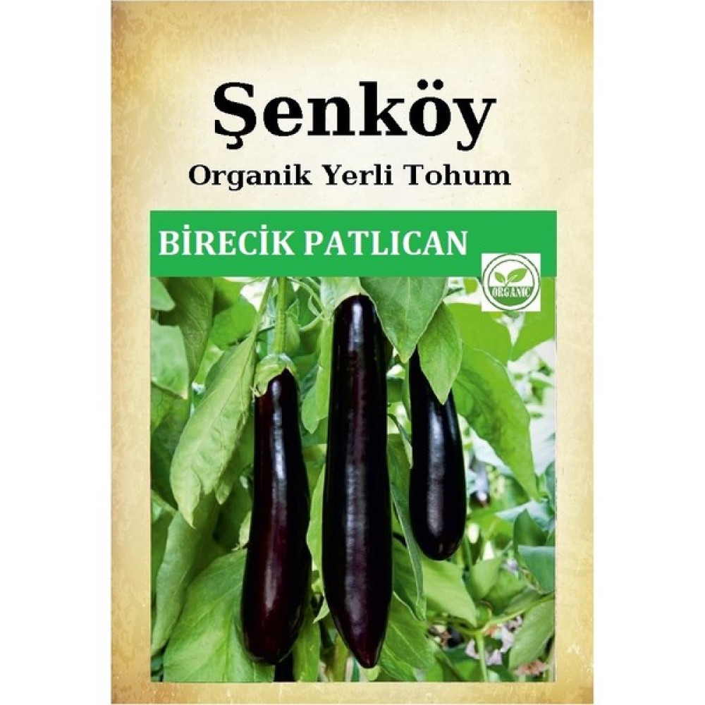 Şenköy Birecik Kemer Patlıcan Tohumu Doğal Ata Tohumu Pakette 100 Tohum - 1 Adet Tohum Fiyatı