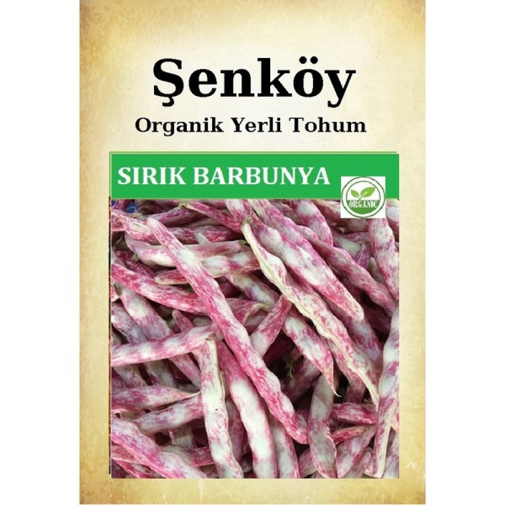 Şenköy Sırık Barbunya Tohumu Doğal Ata Sırık Çillikız Barbunya Tohum Pakette 25 gr 60 Tohum - 1 Adet Tohum Fiyatı