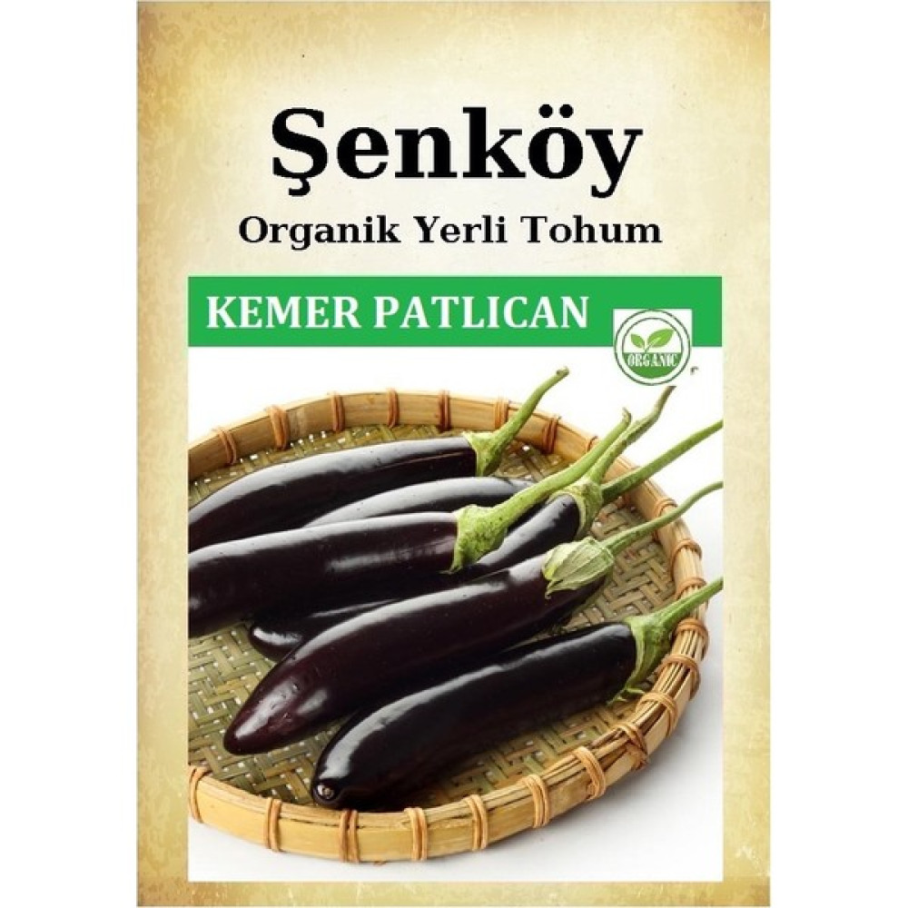 Şenköy Yerli Antep Kemer Patlıcan Tohumu Doğal Ata Kemer Patlıcan Tohumu Pakette 5 gr 1000 Adet - 1 Adet Tohum Fiyatı