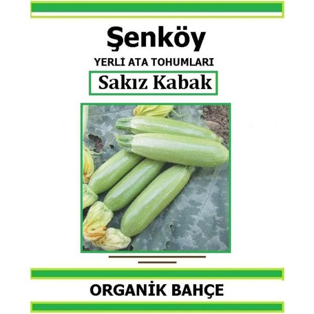 Şenköy Yerli Beyaz Sakız Kabak Tohumu Doğal Ata Tohum Pakette 20 Tohum + Hediye Sebze Tohumu - 1 Adet Tohum Fiyatı