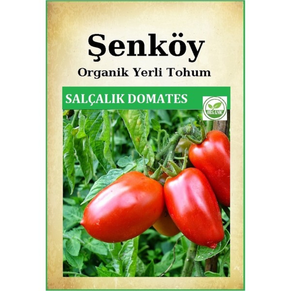 Şenköy Yerli Bursa Salçalık Domates Tohumu Etli Doğal Salçalık Domates Tohumu Pakette 2 gr 500 Tohum - 1 Adet Tohum Fiyatı